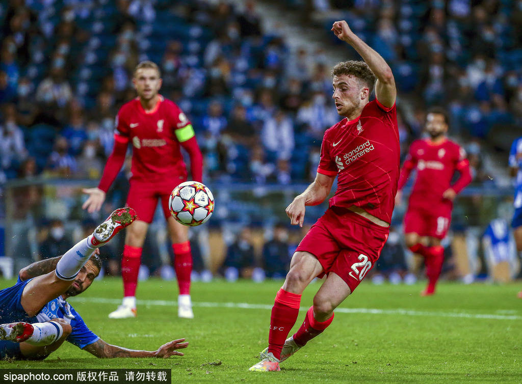 丹麦羽毛球 丹麦羽毛球