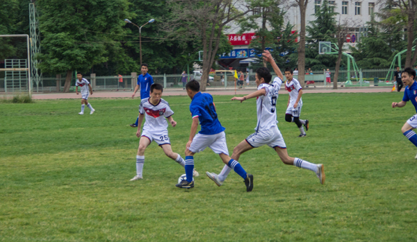 但从每一个 但从每一个